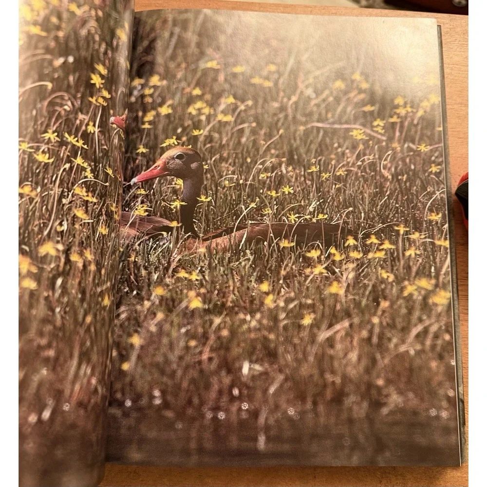 Audubon Society Book of‎ Water Birds 1987 Abrams Les Line